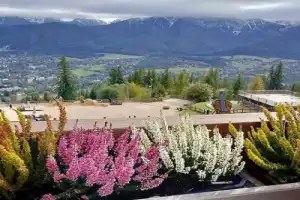 Закопане на весь день — Татры, сыр осцыпек и термы (трансфер из Кракова)