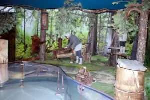 Трансфер из Бреста на экскурсии в Беловежскую пущу - 4