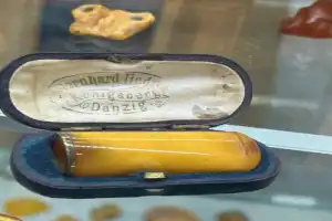 Янтарь: солнечный талисман Балтики - 6