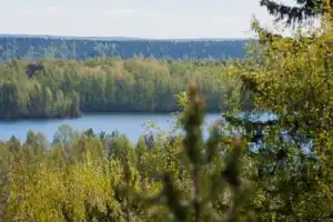 Автобусная экскурсия «Золотое кольцо Карелии» (из Петрозаводска) - 4