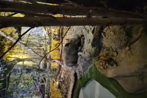 Из Бреста — в заповедный мир Беловежской пущи - 7