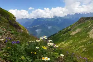 Из Сочи — в горную сказку Из Сочи — в горную сказку