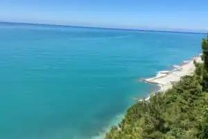 Экскурсия из Сочи в Абхазию: Гагра, Рица, Новый Афон - 7