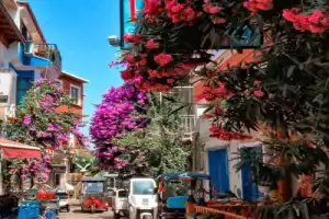 Из Стамбула на Принцевы острова: мир природы и тишины - 12