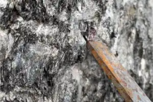 Из Сортавалы — к карельским водопадам и гранатовым приискам - 3