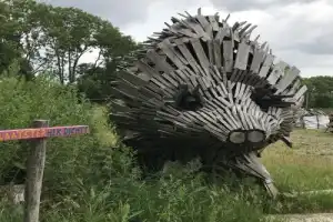 Велопрогулка по окрестностям Амстердама - 26