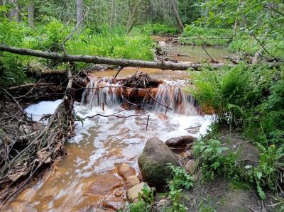 Карелия заповедная: прогулка по экотропе - 5