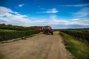 За видами и винами — на Собер Баш! - 8