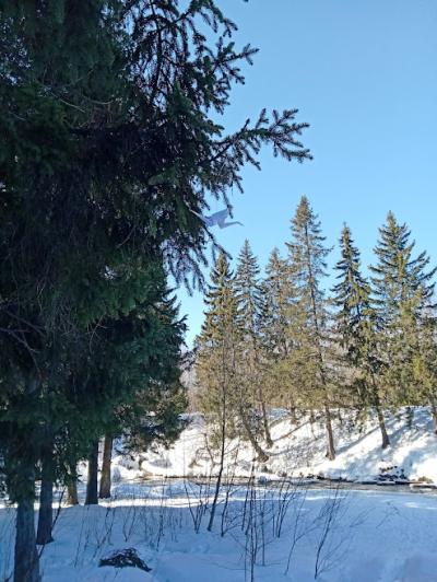 Карелия заповедная: прогулка по экотропе - 19