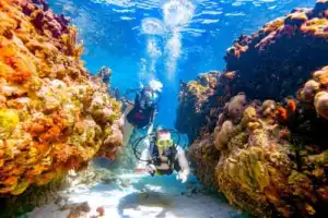 Индивидуальный дайвинг у берега Красного моря - 6
