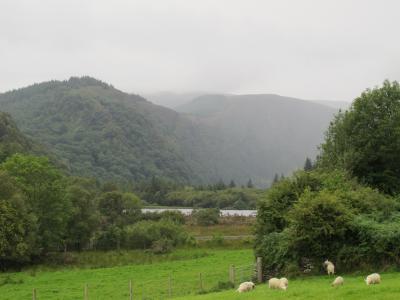 Сады Пауэрскорт и монастырский город Глендалок - 8