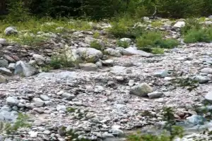 Аршан и купание в горячих источниках: экскурсия в мини-группе - 13