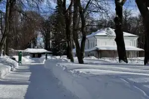 По стопам Льва Толстого: из Тулы в Ясную Поляну - 19