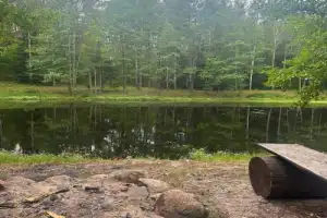 Из Бреста — в Беловежскую пущу - 3