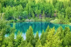 Кондуки: автобусная экскурсия из Москвы в Тульскую область - 3