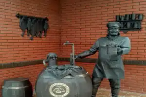 Крылья над Волгой и другие символы Самары - 9