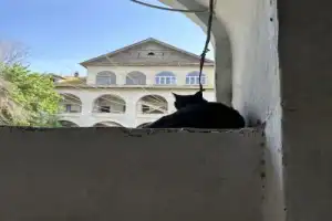 Астрахань: всё и сразу! - 8