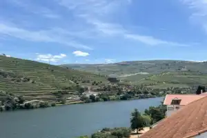«Не портвейном единым»: по долине реки Дору в компании сомелье - 12