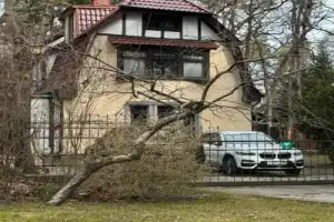 Светлогорск от древних пруссов до современного курорта - 14