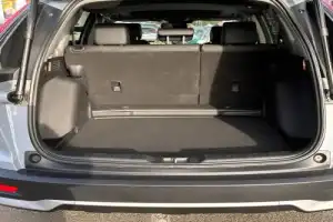 Трансфер из Бреста на экскурсию в Беловежскую пущу - 10