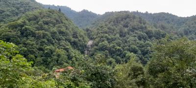 Батуми и Горная Аджария за 1 день - 9