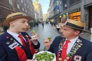 Брюссель в тарелке Брюссель в тарелке