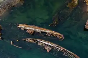 Териберка за 1 день: посёлок, китовое сафари и дегустация морепродуктов - 21