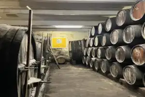«Не портвейном единым»: по долине реки Дору в компании сомелье - 9