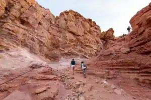 Эйлатское сафари - 4