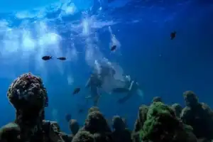 Дайвинг в подводном музее Сиде - 6