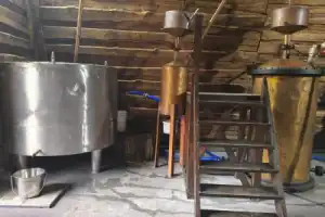 Трансфер из Бреста на экскурсии в Беловежскую пущу - 12