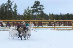 Из Мурманска — в гости к саамам - 3