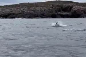 Вдоль побережья Териберки на корабле - 8