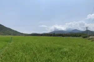 Аутентичный Южный Вьетнам + обед в бухте - 11