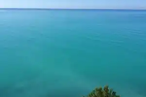 Экскурсия из Сочи в Абхазию: Гагра, Рица, Новый Афон - 10