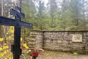 Из Петербурга в Комарово: обитель муз и гениев (в уютной мини группе) - 4