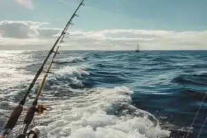 Рыбалка в Чёрном море Рыбалка в Чёрном море