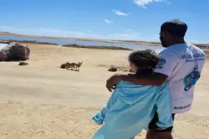 Из Шарм-эль-Шейха — в заповедник Рас-Мохаммед - 18