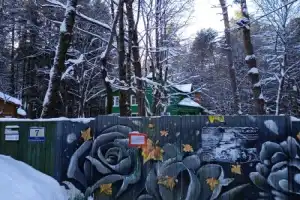 Литературное Переделкино - 8