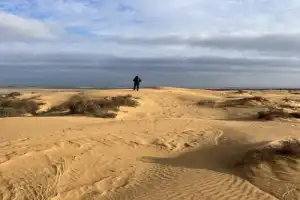 Степные курганы Калмыкии - 2