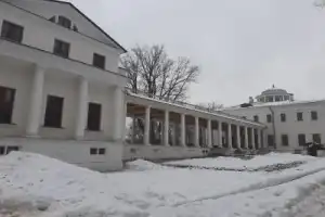 Дворянские гнёзда вокруг Москвы: усадьбы Остафьево, Дубровицы и Ивановское - 10