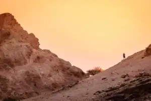 ОАЭ вдоль и поперек - 4