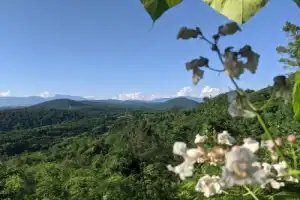 В Грузию своей компанией: Кутаиси, Тбилиси, Чиатура и Сигнахи с треккингами в горах