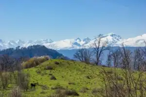 Лысая поляна долины реки Нальчик Лысая поляна долины реки Нальчик