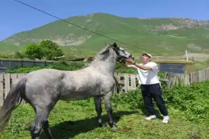 Путешествие по Восточной Осетии — древней Тагаурии - 23