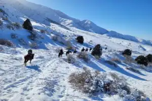 На лошадях по Западному Тянь-Шаню - 4