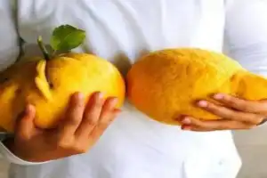 Лимонный рай возле Везувия: мастер-класс от шеф-повара - 7