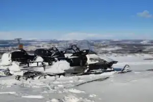 Снегоходные прогулки в лесу под Мурманском - 4