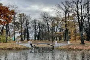В Екатерининский и Александровский дворцы и парки — на комфортабельном автомобиле - 16