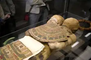 Лувр для юных ценителей искусства и их родителей - 7